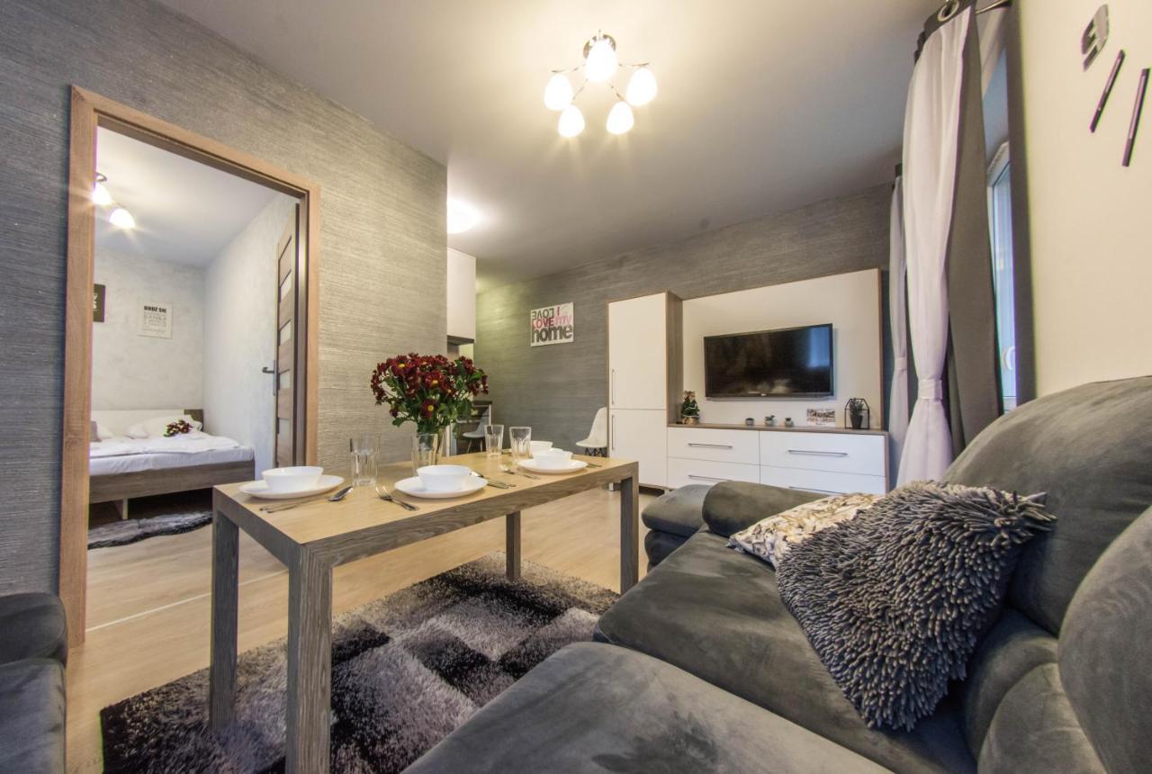 Apartamenty Izerskie - Ul. Cicha 13D-E Swieradow-Zdroj Luaran gambar