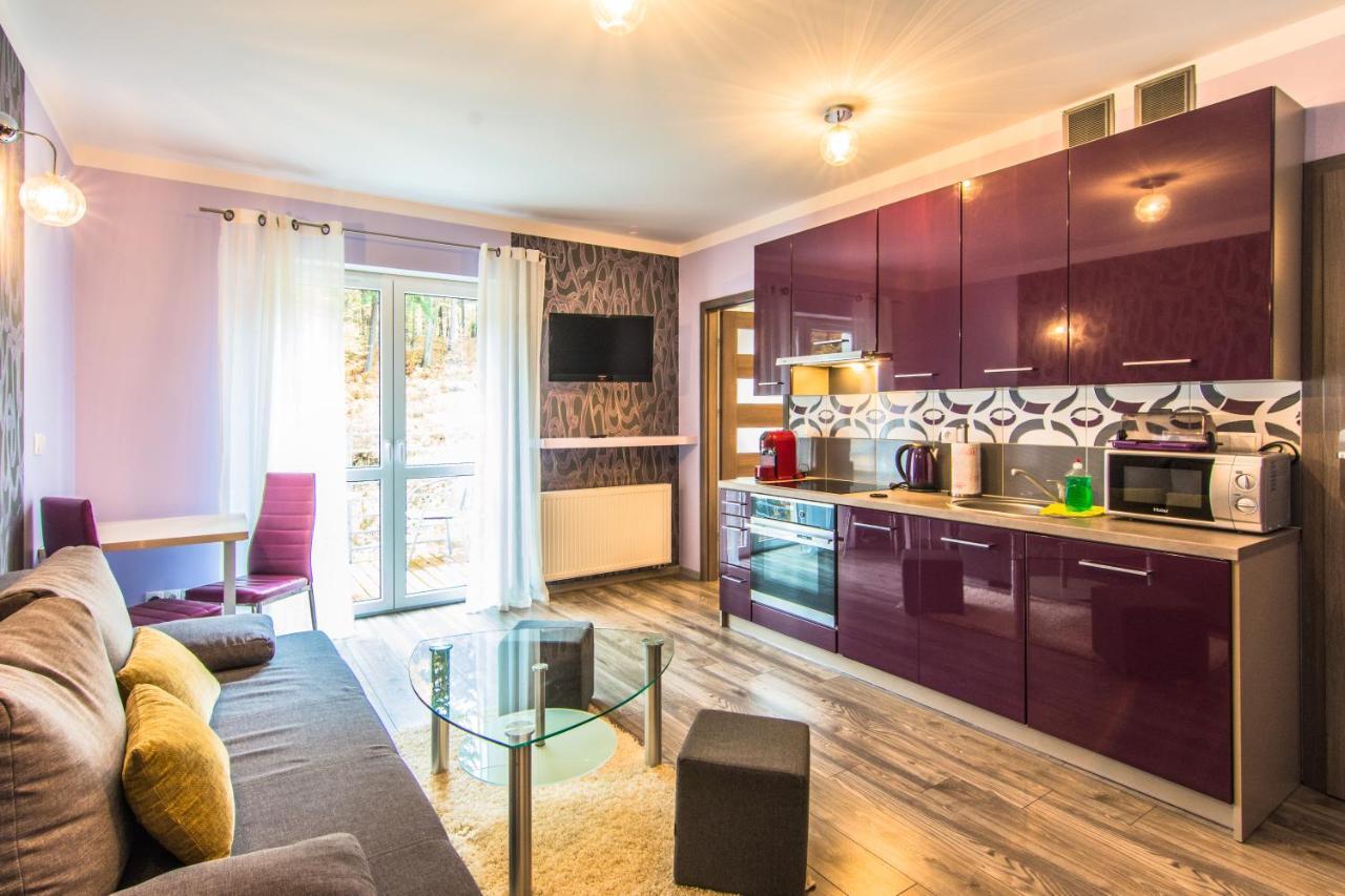 Apartamenty Izerskie - Ul. Cicha 13D-E Swieradow-Zdroj Luaran gambar