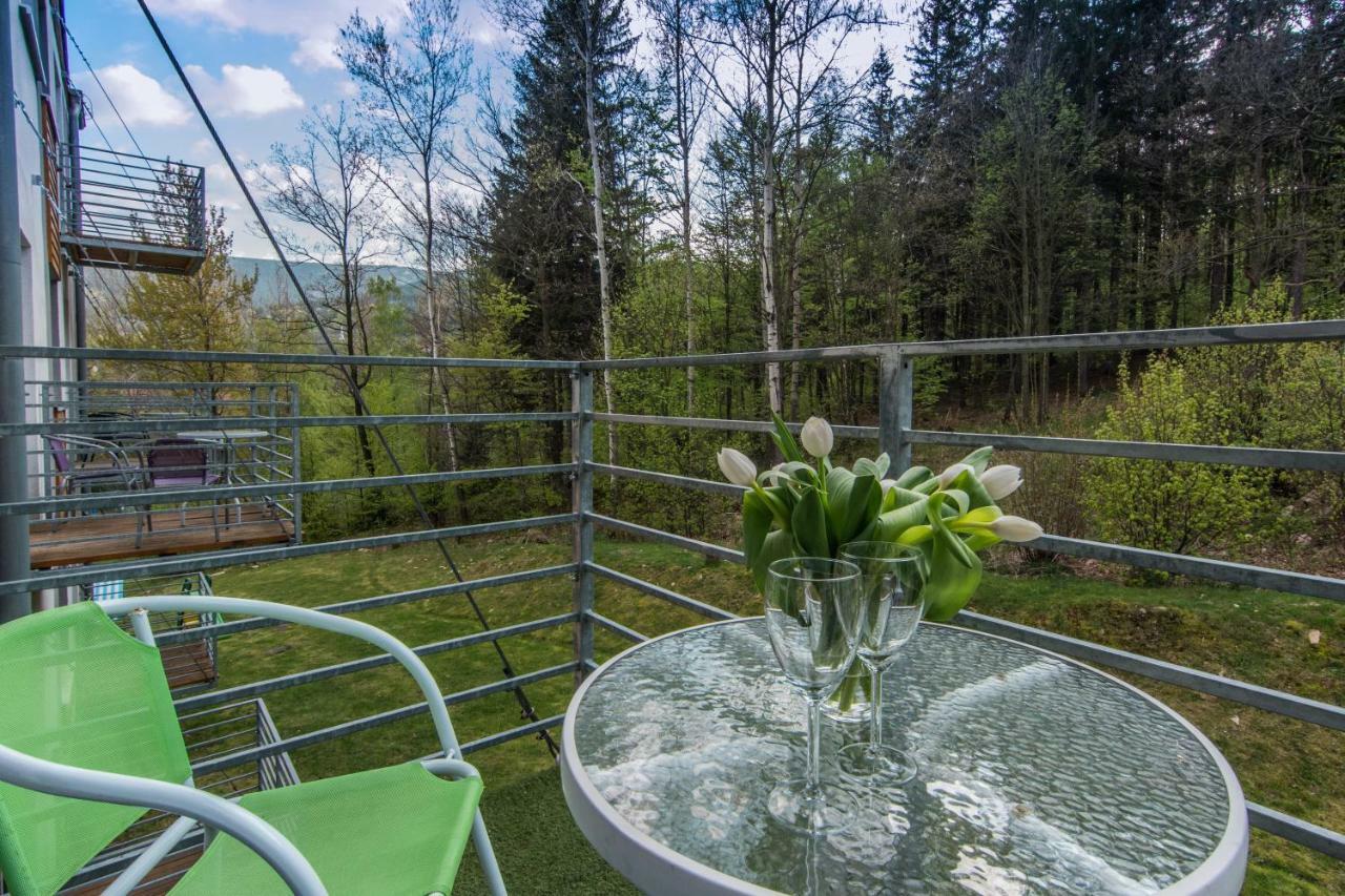 Apartamenty Izerskie - Ul. Cicha 13D-E Swieradow-Zdroj Luaran gambar